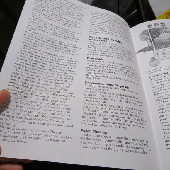 Plants on the Grow Extra Large BULLETIN BOARD SET LAMINATED  Classroom Posters - Picture 9 of 12